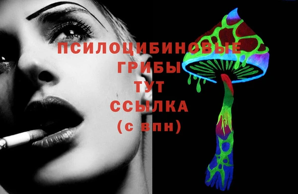 эйфоретик Бородино
