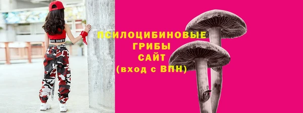 эйфоретик Бородино
