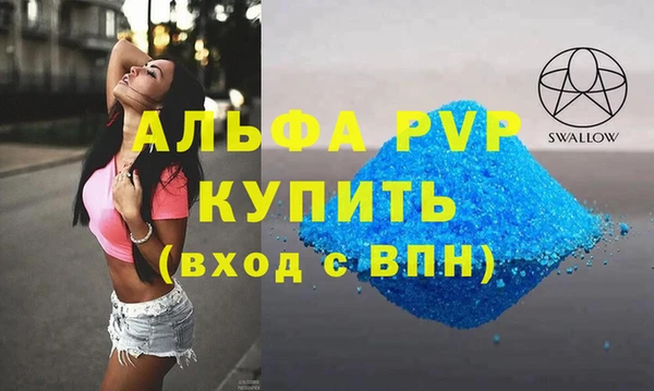 эйфоретик Бородино