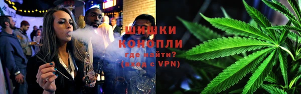 эйфоретик Бородино