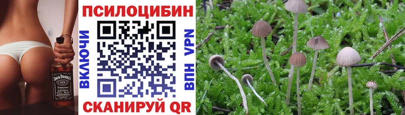 Псилоцибиновые грибы Psilocybe Туапсе